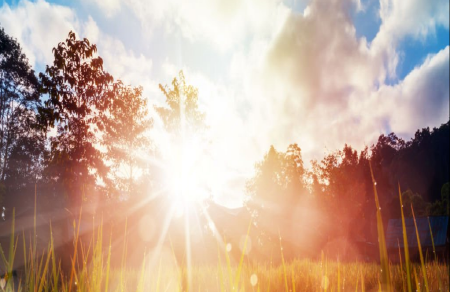 체라벨 상단 이미지