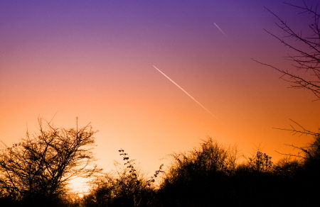 체라벨 상단 이미지